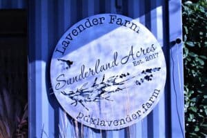 custom laser-cut signage Sunderland Acres