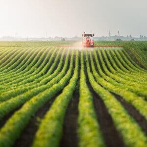 Tractor spraying pesticides at  soy bean fields